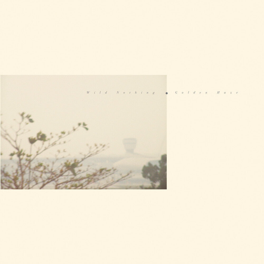 the album cover for Wild Nothing - Golden Haze - Golden Haze [Colored Vinyl] (Gol)
