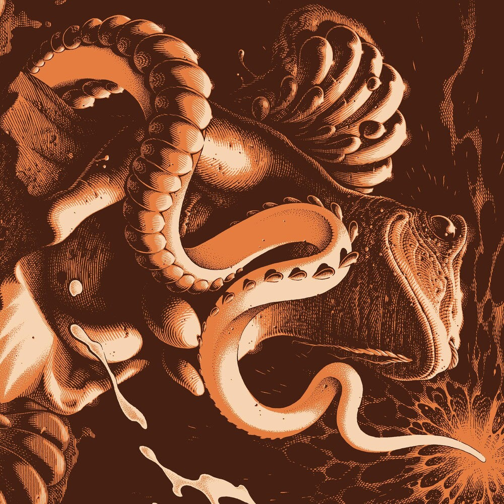 the album cover for Boris -  Amplifier Worship - 25th Anniversary [Indie exclusive 2 LP Lime green swirl]