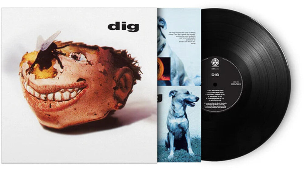 the album cover for Dig - Dig (Blk) [180 Gram] (Hol)