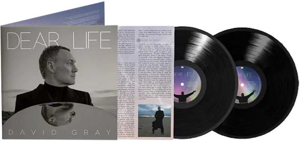the album cover for David Gray - Dear Life