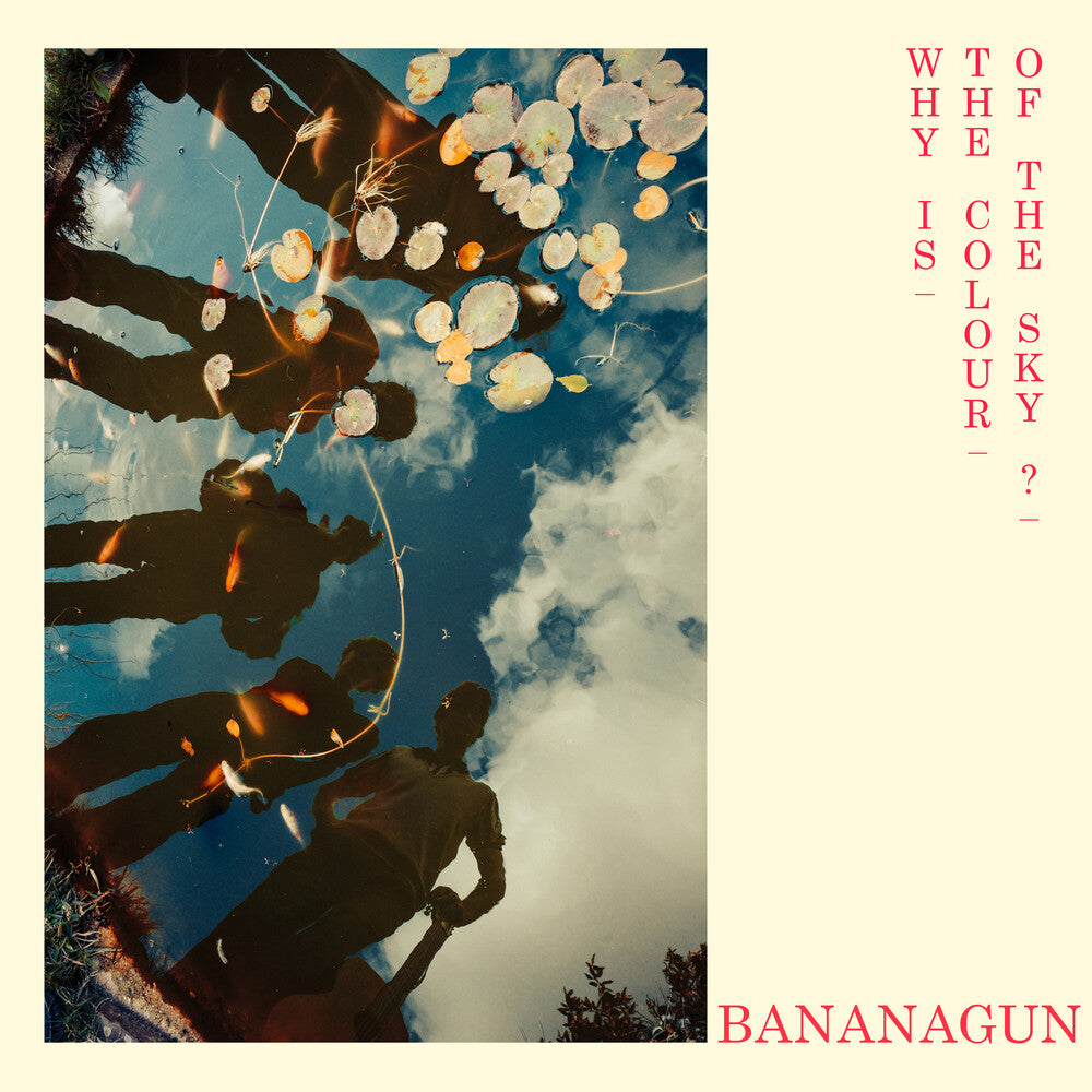 the album cover for Bananagun - Why Is The Colour Of The Sky