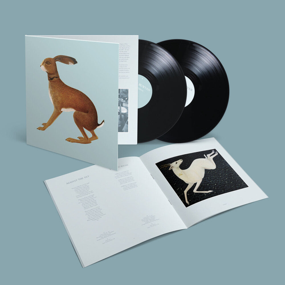 the album cover for Vashti Bunyan - Lookaftering ( Expanded ) (Exp)