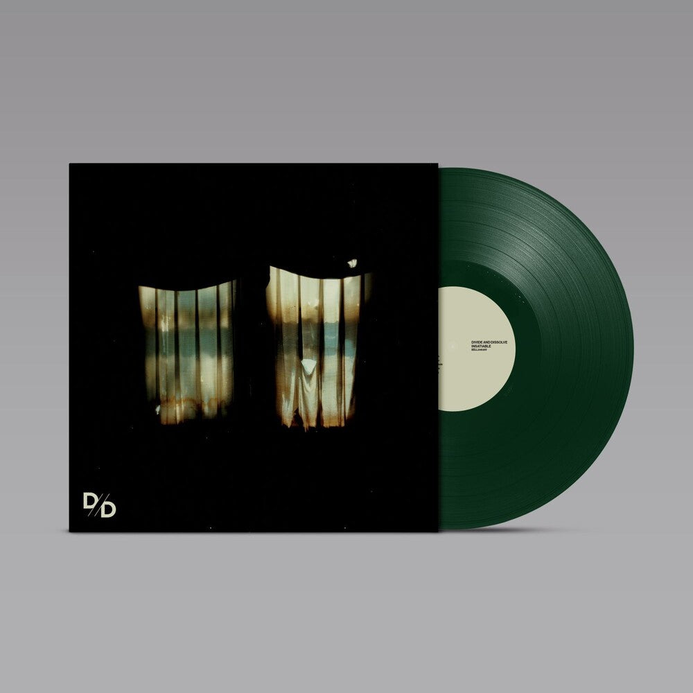 the album cover for Divide & Dissolve - Insatiable [Colored Vinyl]