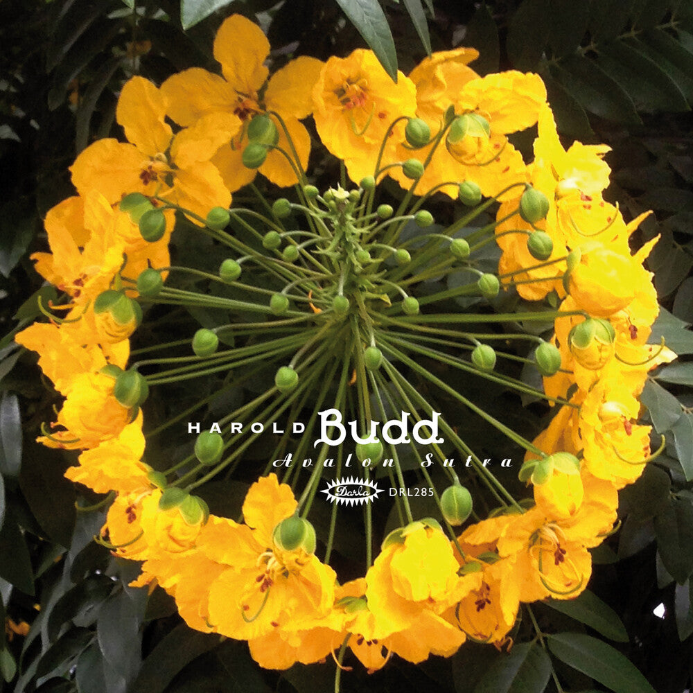 the album cover for Harold Budd - Avalon Sutra (Bonus Cd) [Limited Edition]