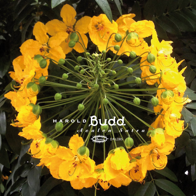 the album cover for Harold Budd - Avalon Sutra (Bonus Cd) [Limited Edition]