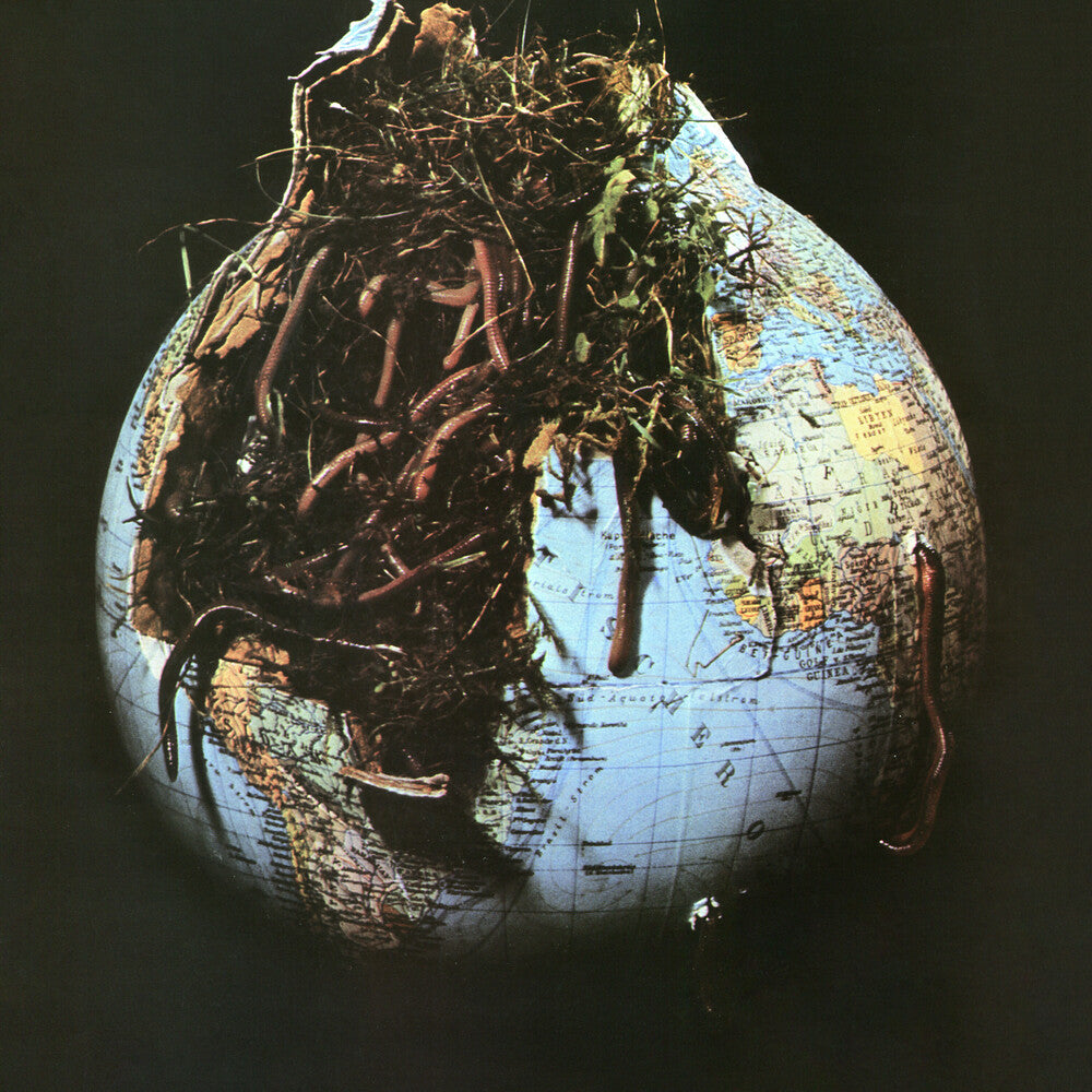 the album cover for Drosselbart - Drosselbart