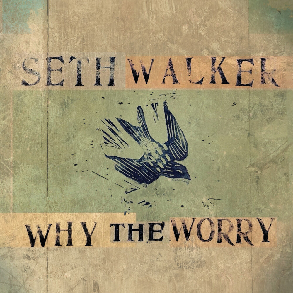 the album cover for Seth Walker - Why The Worry