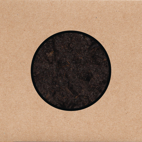 the album cover for Swans - Birthing