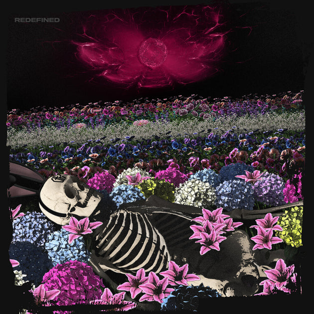 the album cover for Dead Rabbitts - Redefined