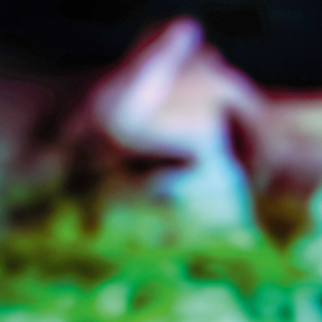 the album cover for Hair & Treasure - Disc Rot