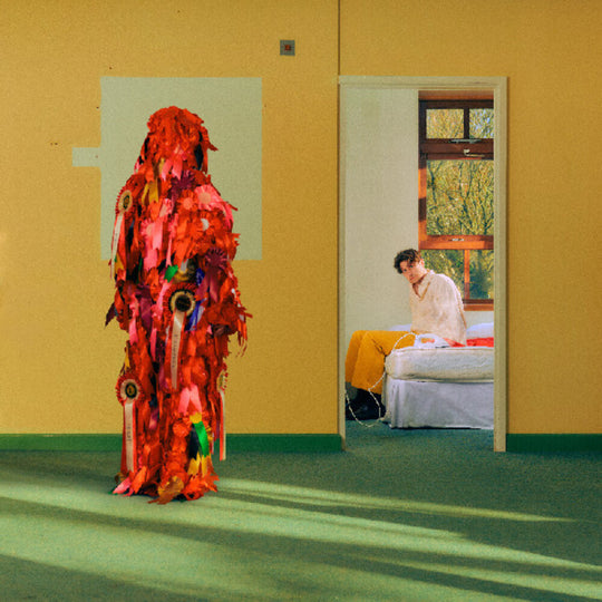 the album cover for Barry Can't Swim - Loner