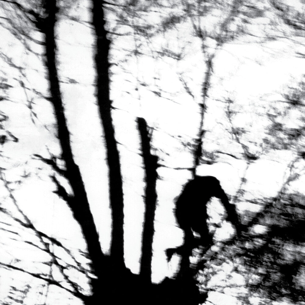 the album cover for Cindytalk - Camouflage Heart (Blk)