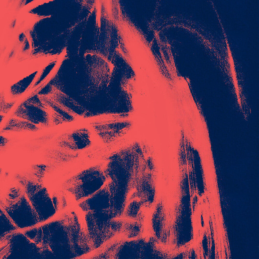 the album cover for Rival Consoles - Landscape From Memory [Download Included]