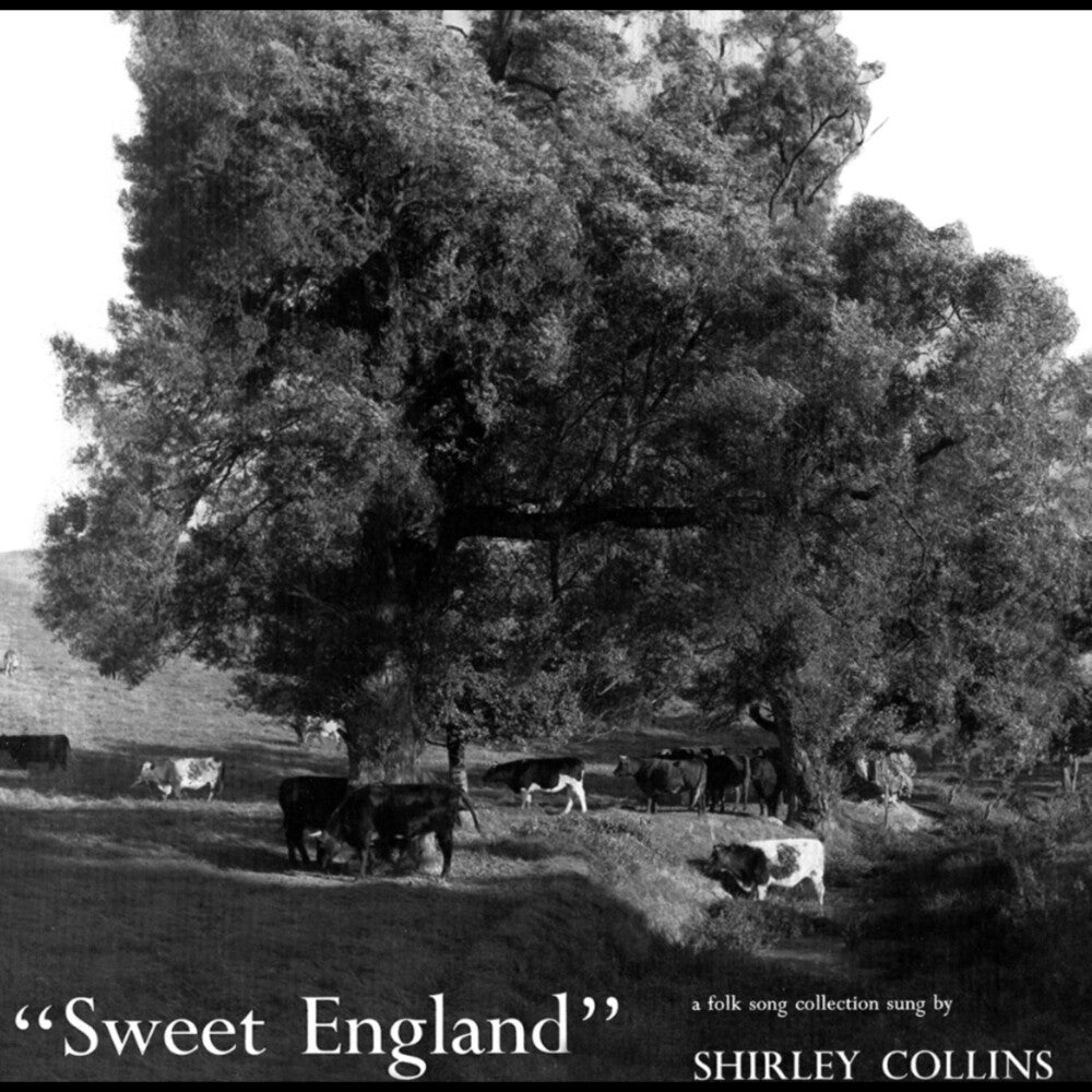 the album cover for Shirley Collins - Sweet England