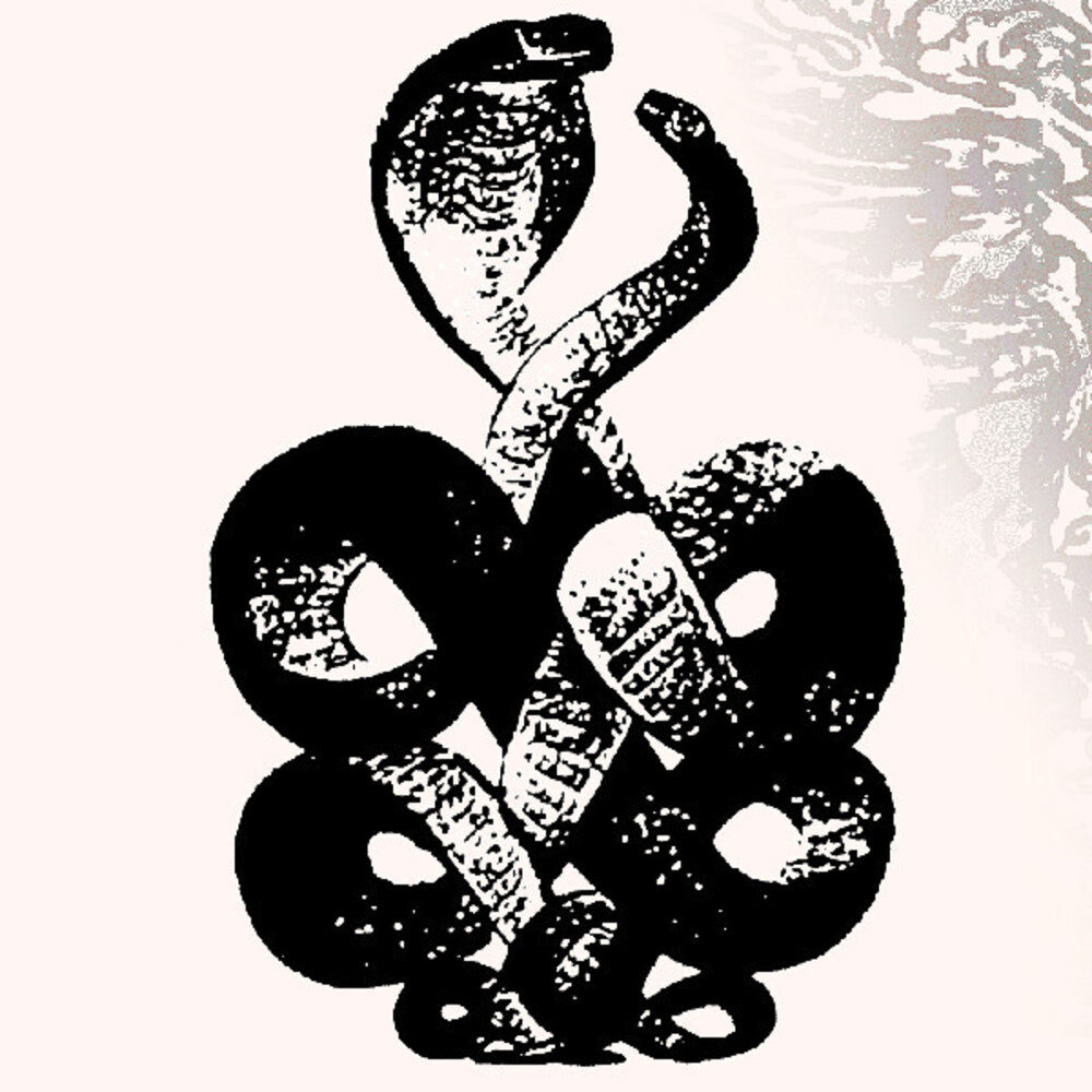 the album cover for Bardo Pond - Volume 4 & 5 (Gate) [Download Included]