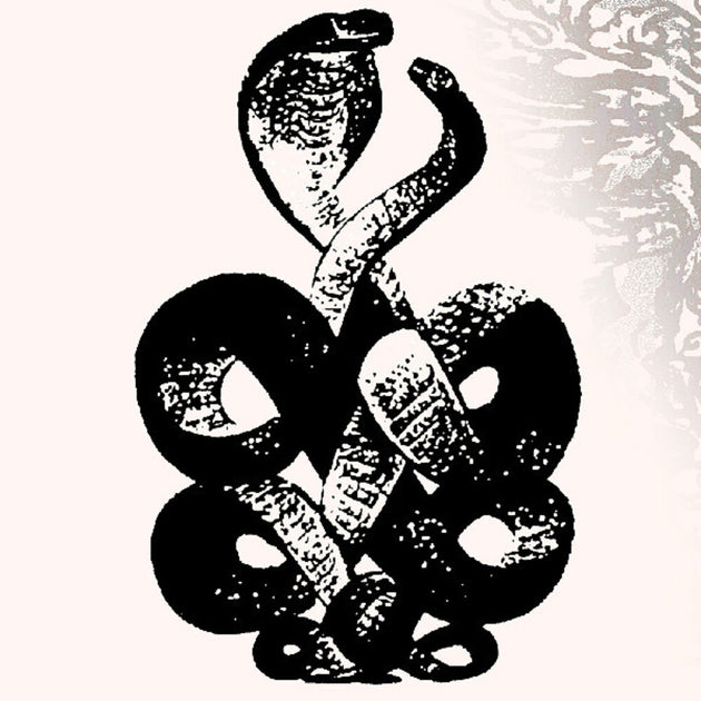 the album cover for Bardo Pond - Volume 4 & 5 (Gate) [Download Included]