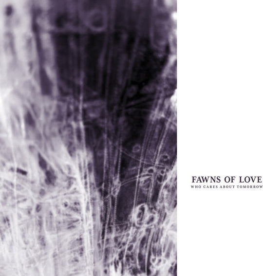 the album cover for Fawns of Love - Who Cares About Tomorrow [Remastered]