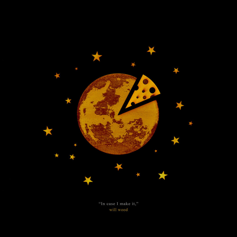 the album cover for Will Wood - In Case I Make It