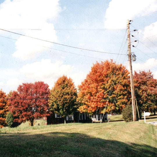 the album cover for Vegas Water Taxi - Things Are Gonna Be Alright (Extended Edition)