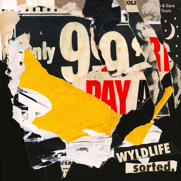 the album cover for Wyldlife - SORTED.