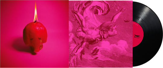 the album cover for Arcade Fire - Pink Elephant