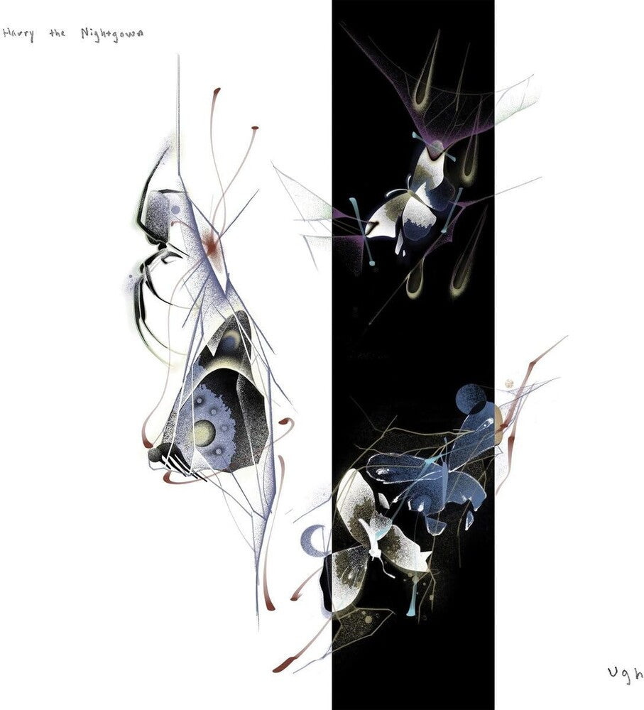the album cover for Harry the Nightgown - Ugh