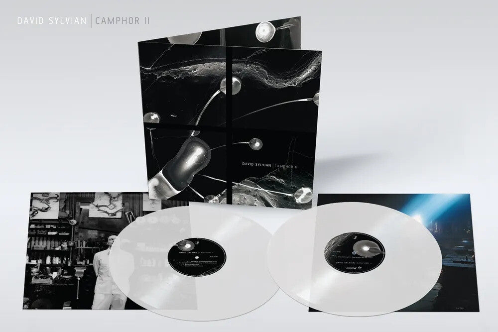 the album cover for David Sylvian - Camphor Ii [Colored Vinyl] [Limited Edition] (Uk)