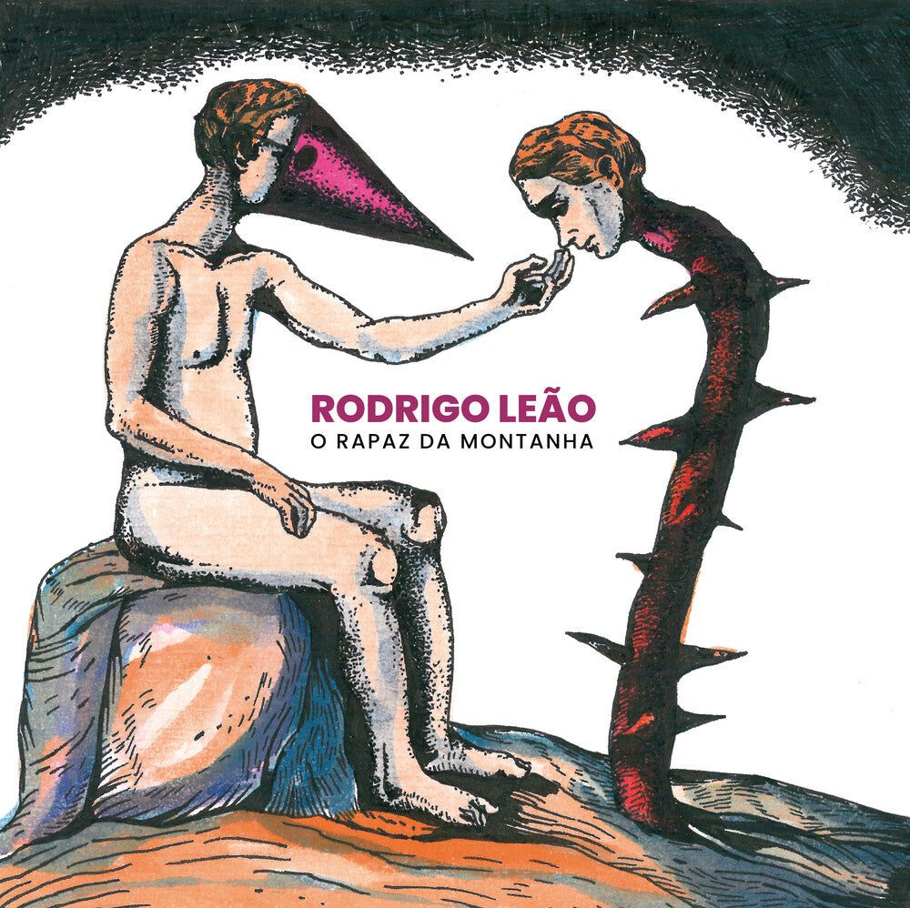the album cover for Rodrigo Leao - O Rapaz Da Montanha