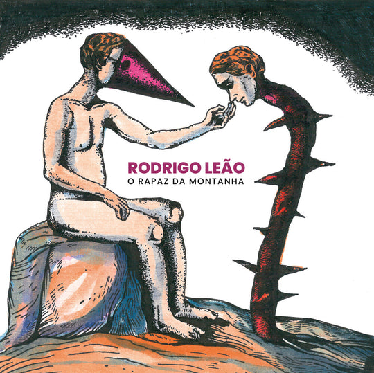 the album cover for Rodrigo Leao - O Rapaz Da Montanha
