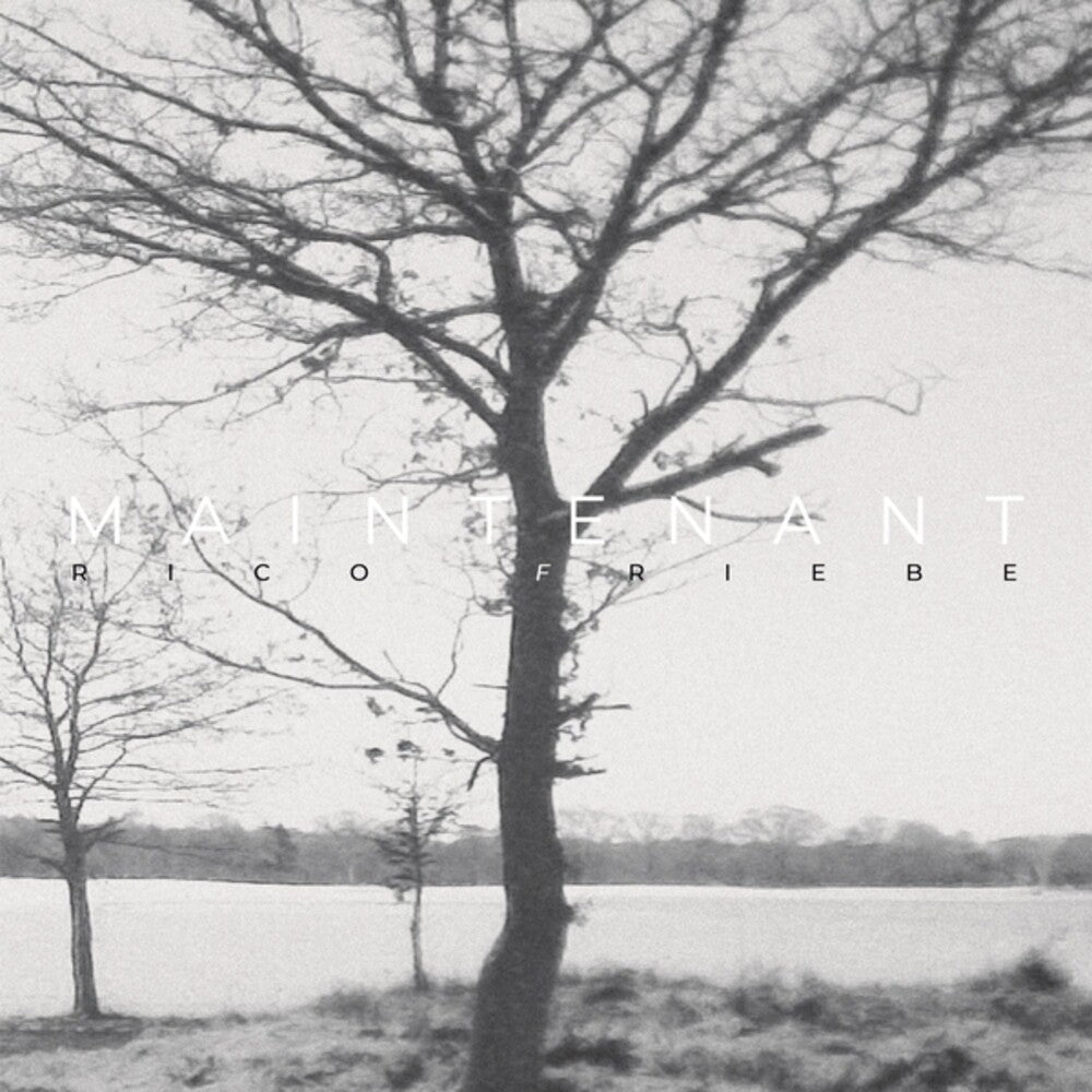 the album cover for Rico Friebe - Maintenant (Aus)