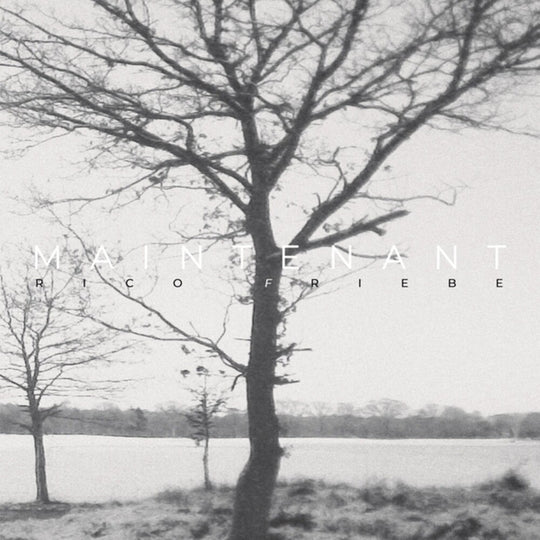 the album cover for Rico Friebe - Maintenant (Aus)