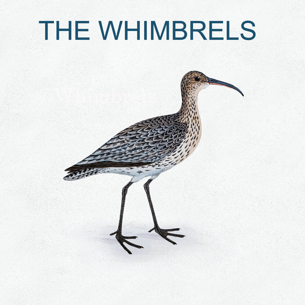 the album cover for Whimbrels - The Whimbrels