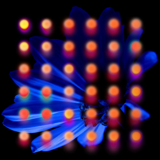 the album cover for Anberlin - Nevertake