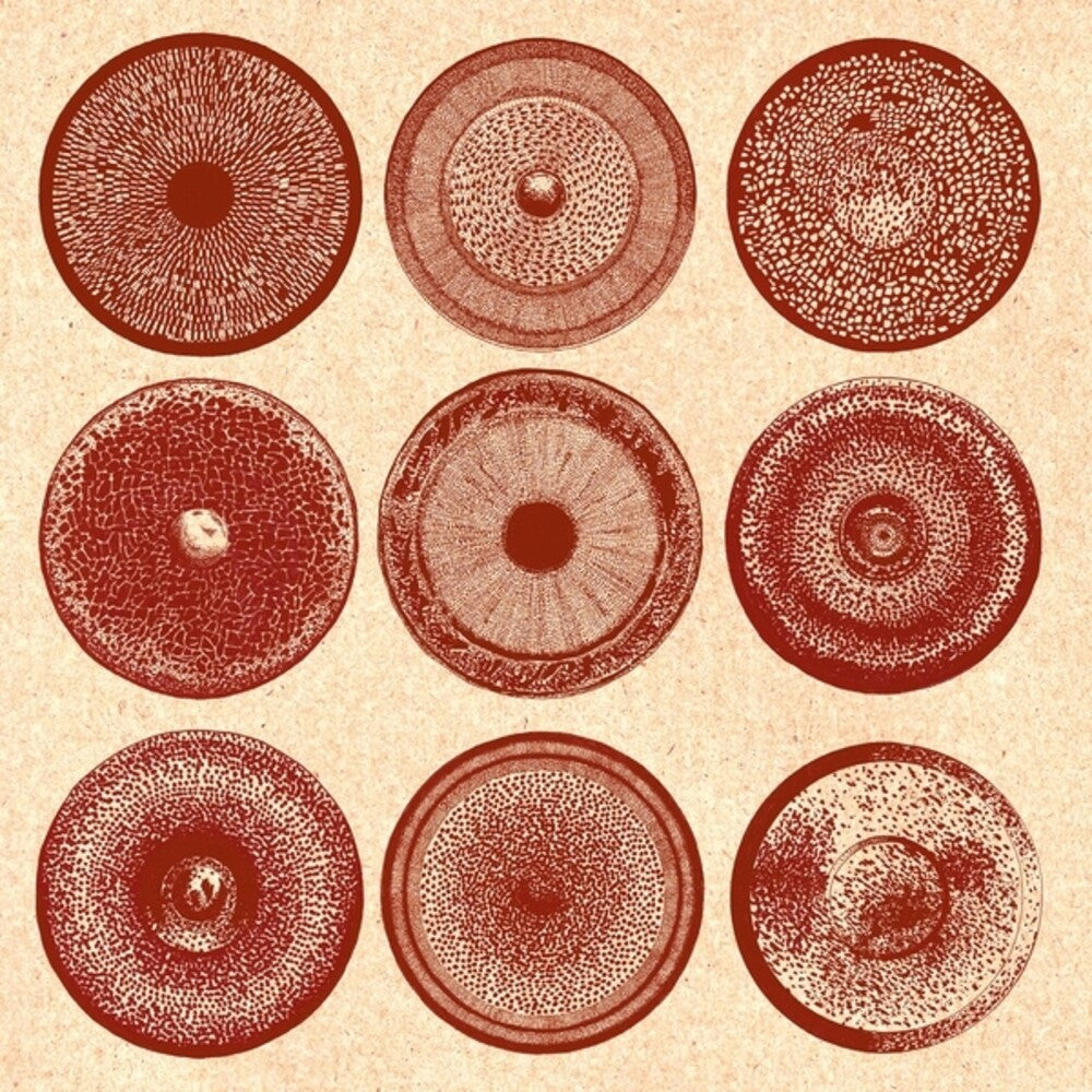 the album cover for Ensemble Nist-Nah - Spilla