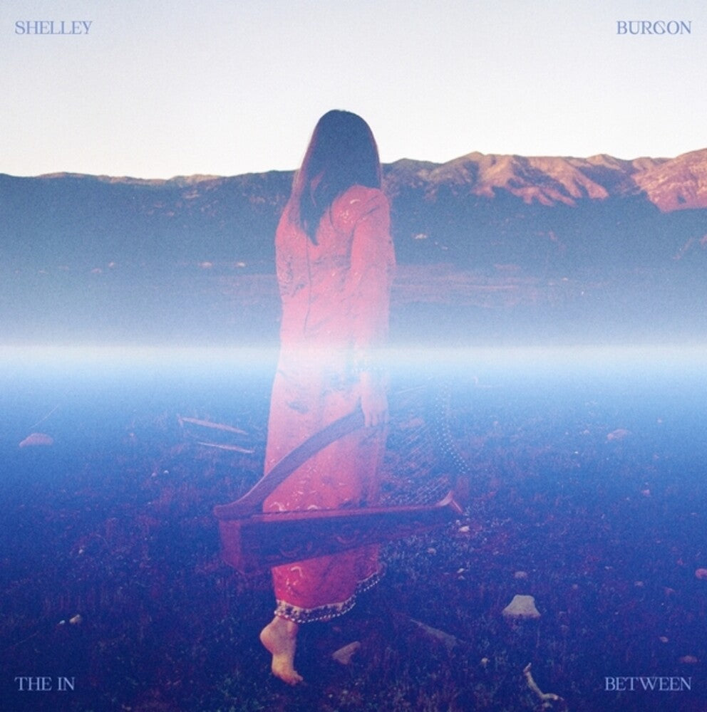 the album cover for Shelley Burgon - In Between
