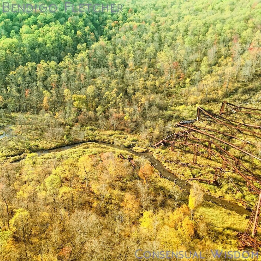 the album cover for Bendigo Fletcher - Consensual Wisdom (Beig) [Colored Vinyl]