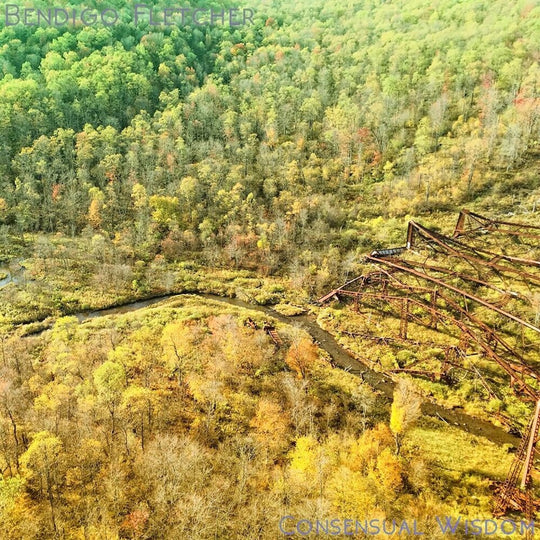 the album cover for Bendigo Fletcher - Consensual Wisdom (Beig) [Colored Vinyl]