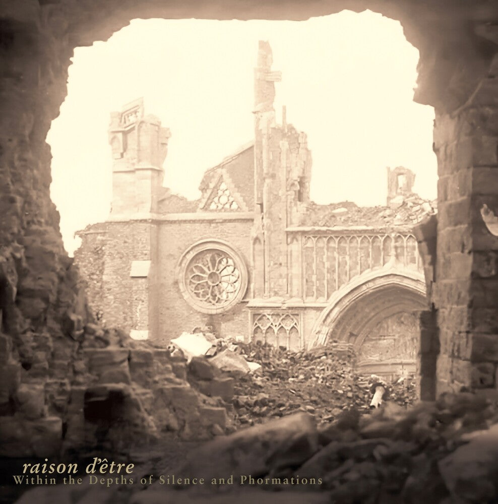 the album cover for Detre, Raison - Within The Depths Of Silence And Phormations