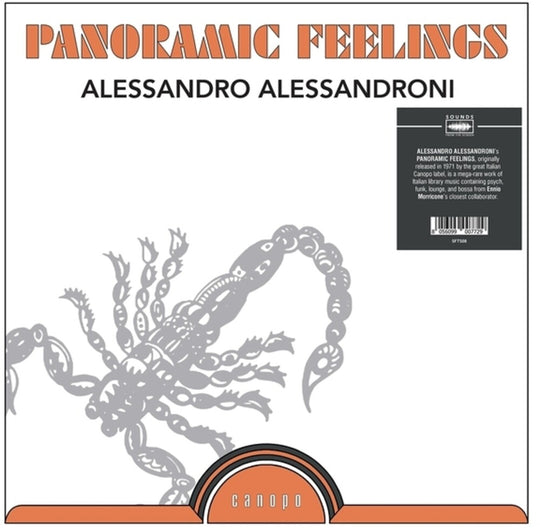 the album cover for Alessandro Alessandroni - Panoramic Feelings