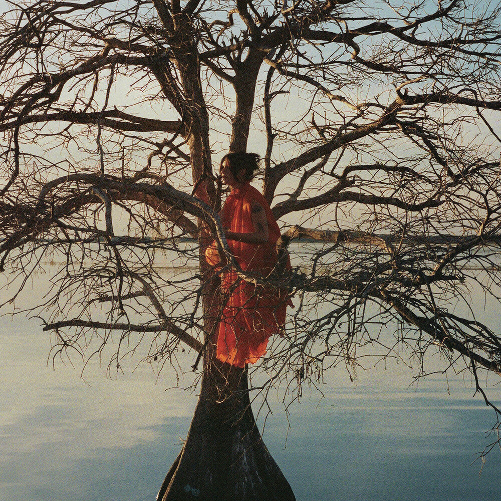 the album cover for Gatlin - Eldest Daughter (Gate)