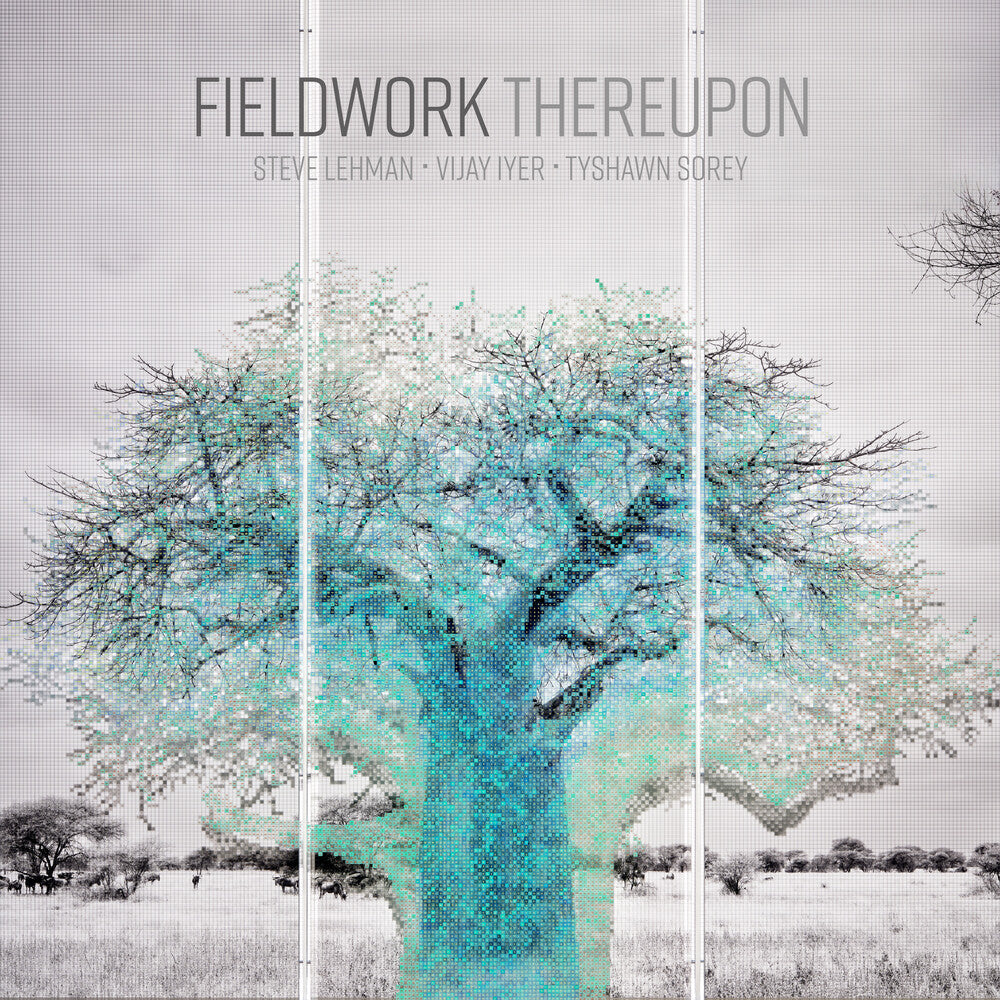 the album cover for Fieldwork - Thereupon