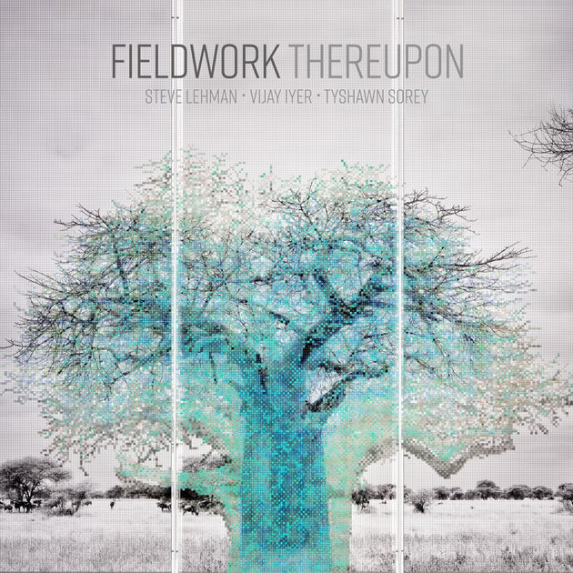 the album cover for Fieldwork - Thereupon