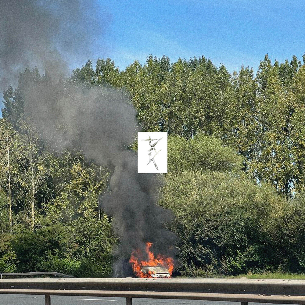 the album cover for Eden - Dark [Translucent Green LP]