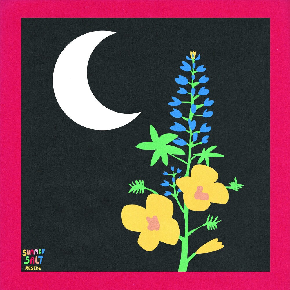 the album cover for Summer Salt - Reside