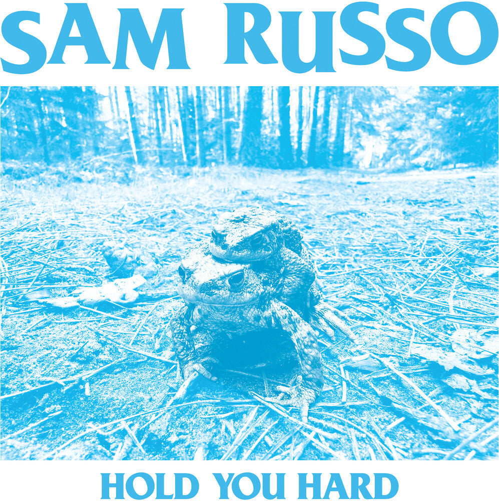 the album cover for Sam Russo - Hold You Hard
