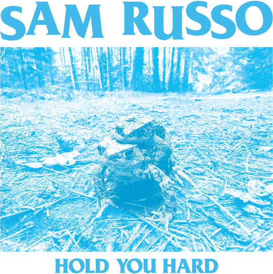 the album cover for Sam Russo - Hold You Hard