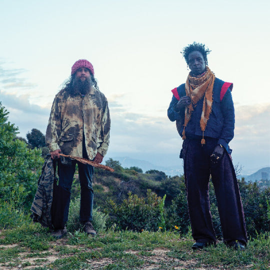 the album cover for Saul Williams  / Nino,Carlos - Saul Williams Meets Carlos Nino & Friends At (Grn)