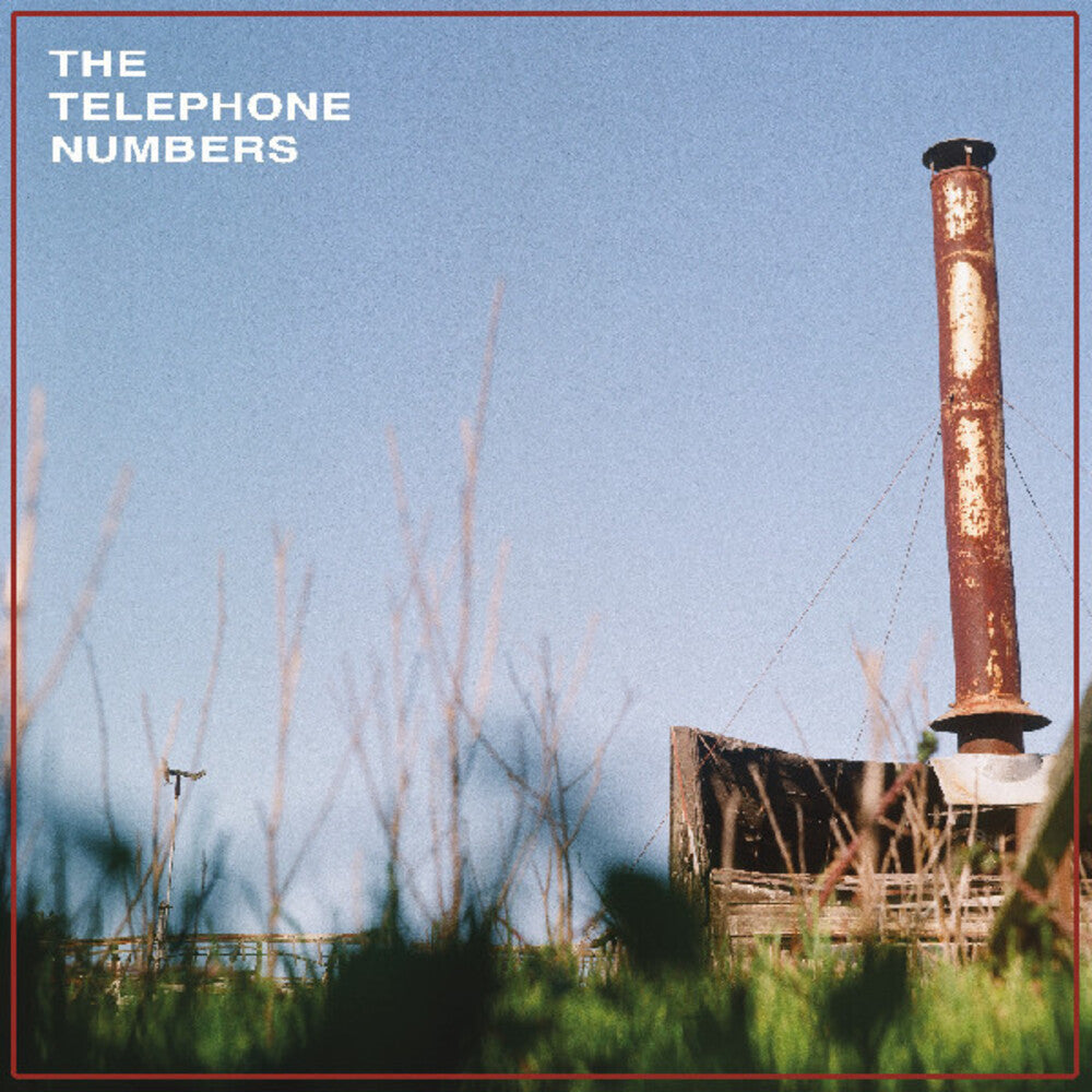 the album cover for Telephone Numbers - Scarecrow Ii [Clear Vinyl] (Grn) [Download Included]