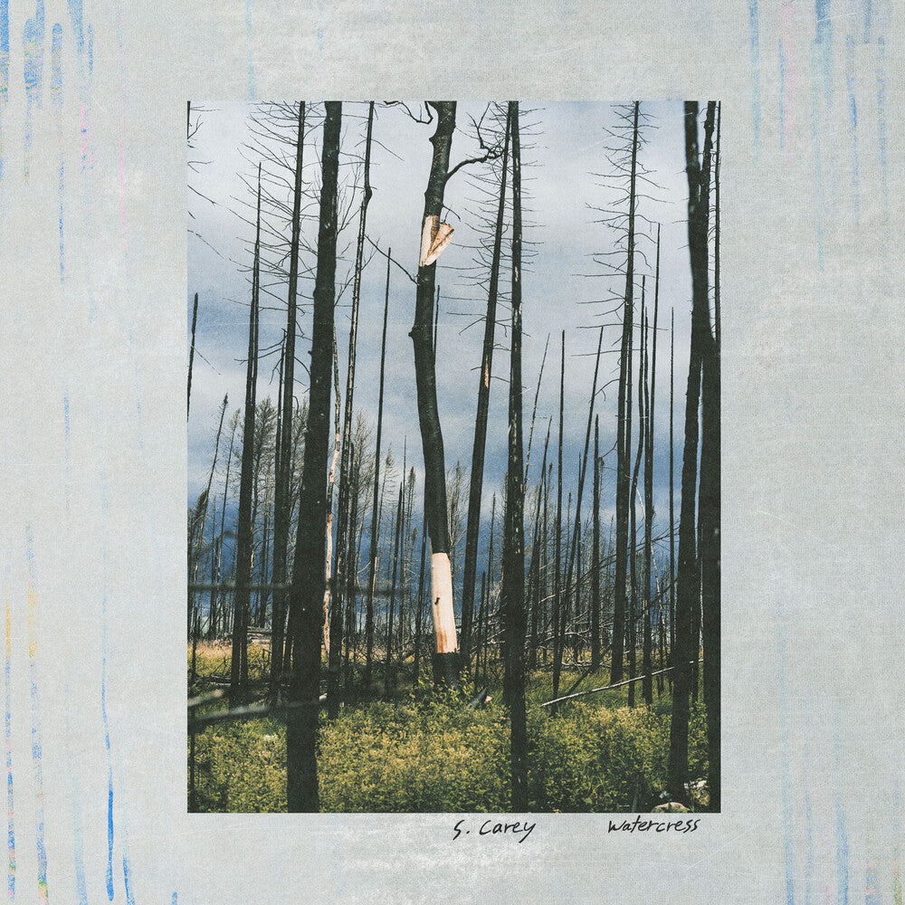 the album cover for S. Carey - Watercress