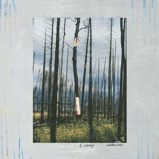 the album cover for S. Carey - Watercress